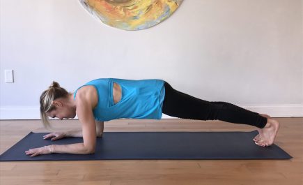 vyda-bielkus-Health-Yoga-Life-plank-position-1